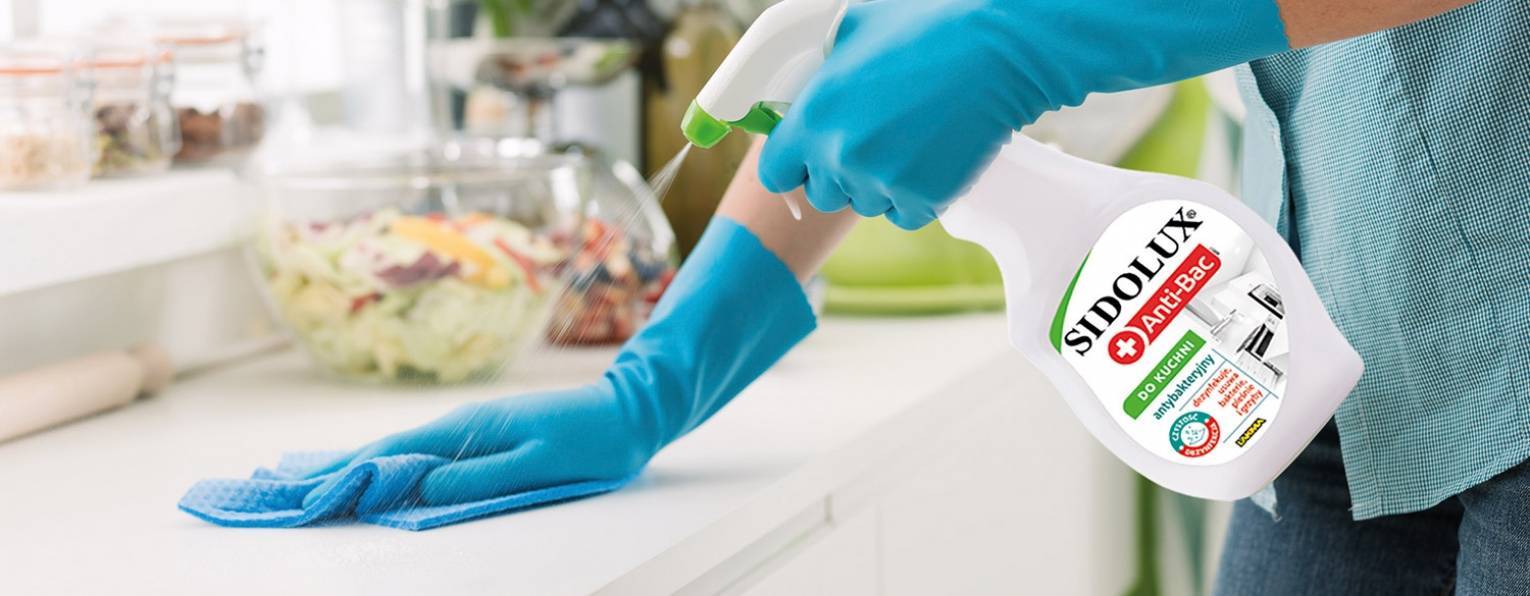 Jak sprzątać mieszkanie, by pozbyć się bakterii i wirusów?