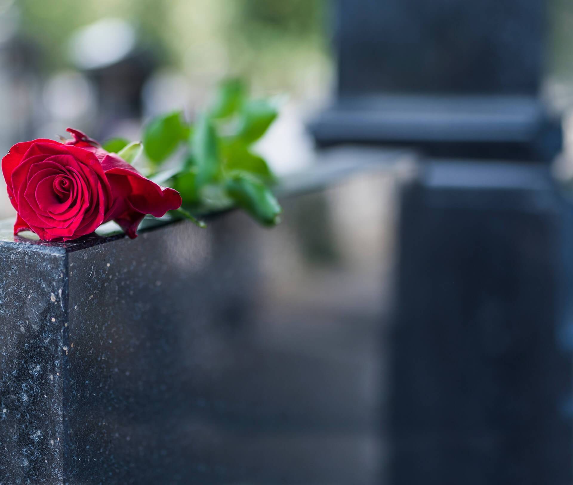 Tombstone cleaning and maintenance